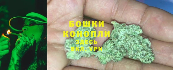 шишки Аркадак