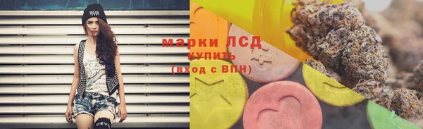 шишки Аркадак
