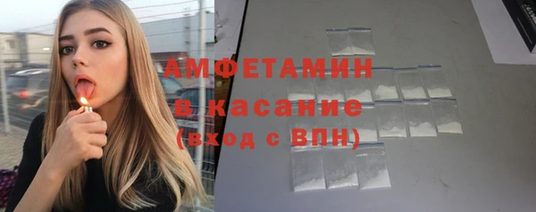 шишки Аркадак