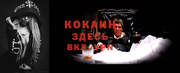 шишки Аркадак