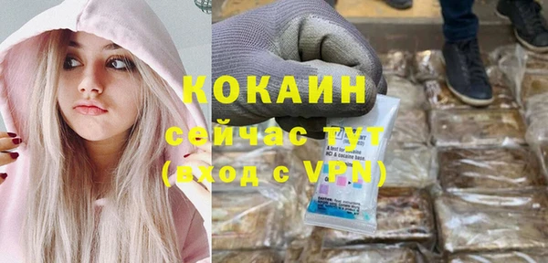 шишки Аркадак