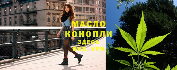 шишки Аркадак
