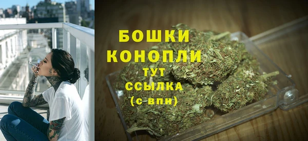spice Арсеньев