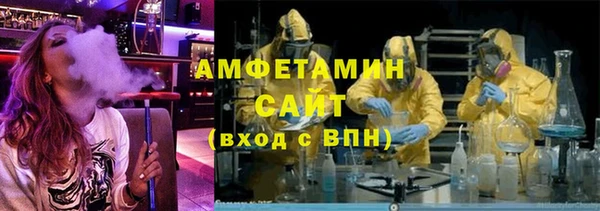 шишки Аркадак