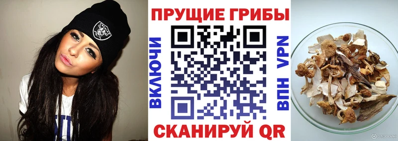 мега   Гороховец  Галлюциногенные грибы MAGIC MUSHROOMS 